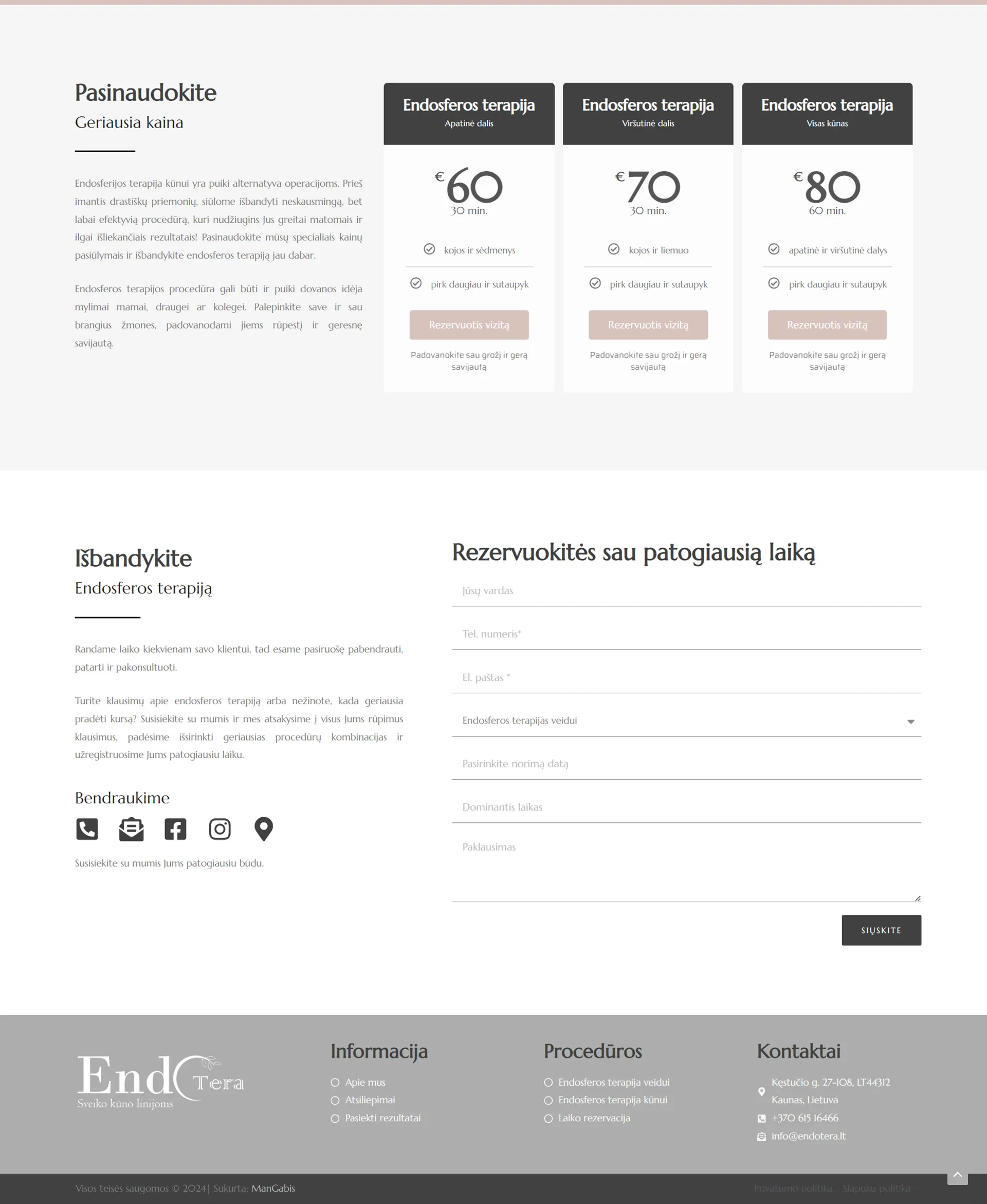 Internetinių puslapių kūrimas - Endotera 13