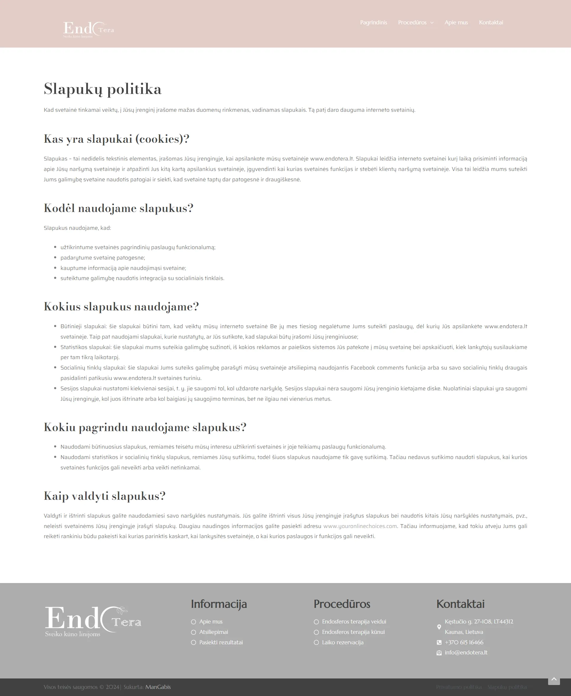 Internetinių puslapių kūrimas - Endotera 9