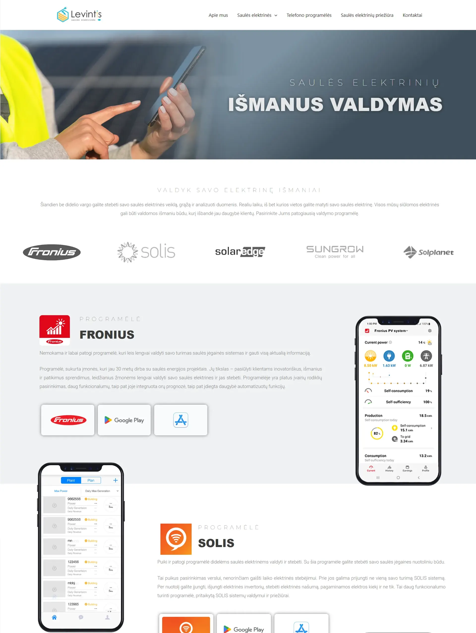 Internetinių puslapių kūrimas - Levintis 11