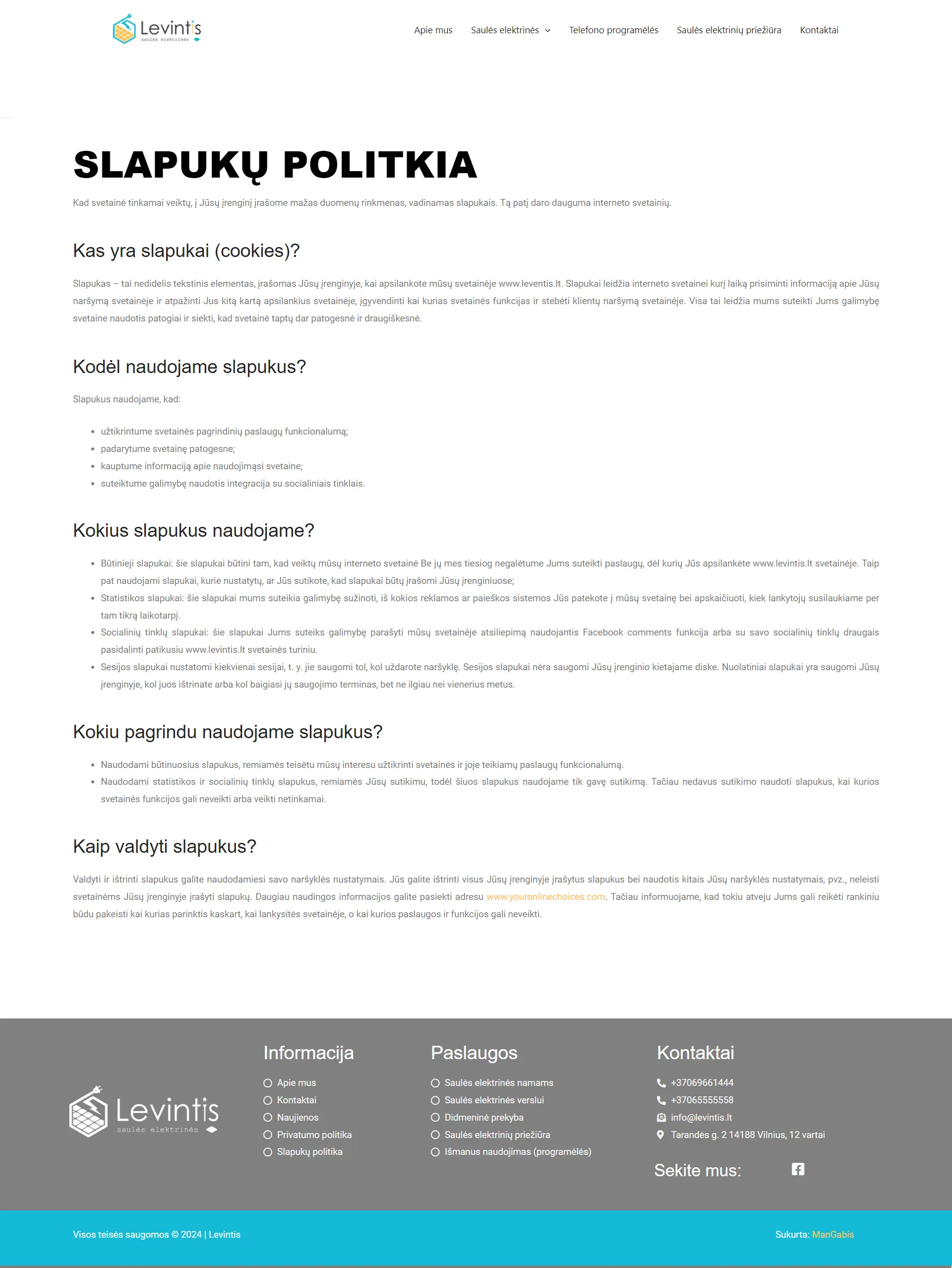 Internetinių puslapių kūrimas - Levintis 15
