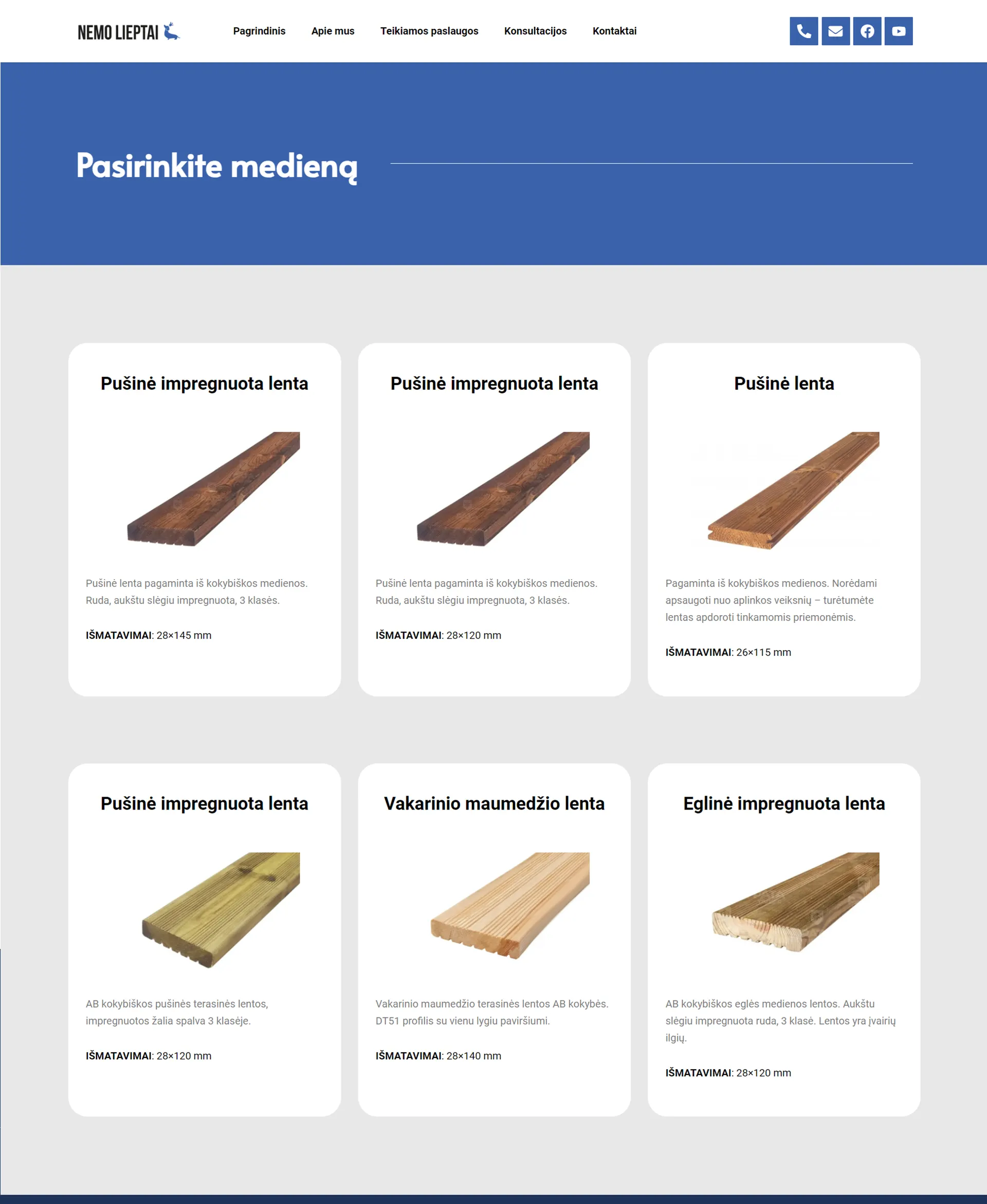 Internetinių puslapių kūrimas - Nemo lieptai 10
