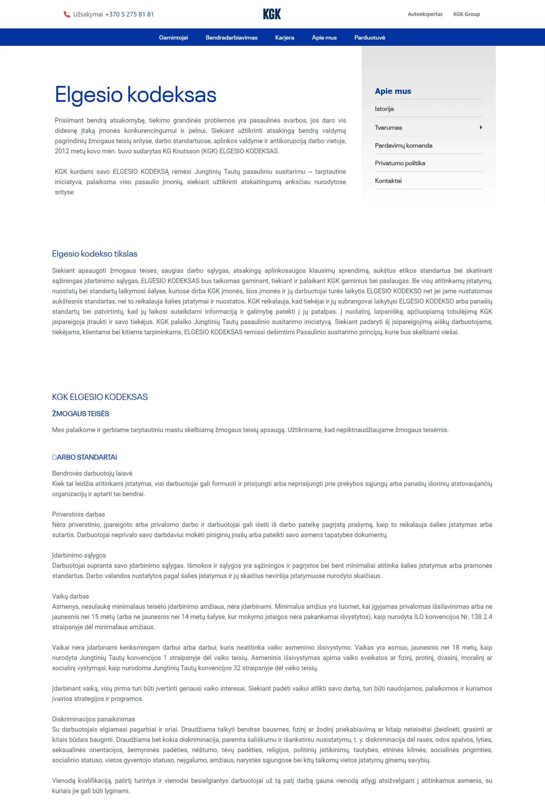 WEB svetainių kūrimas - KGK 12