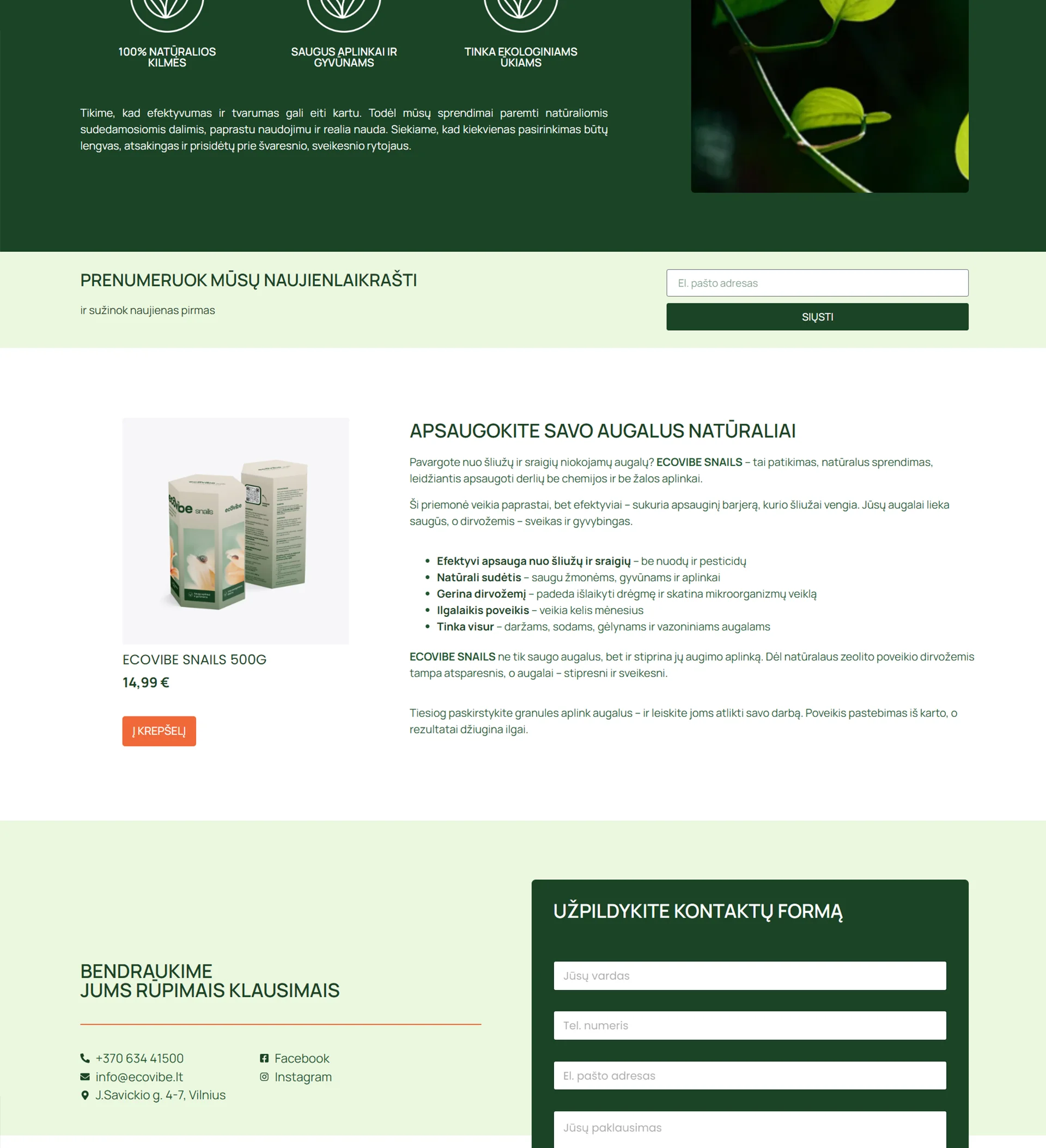 El.parduotuvių kūrimas EcoVibe - ManGabis